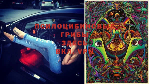 молекула духа Медвежьегорск