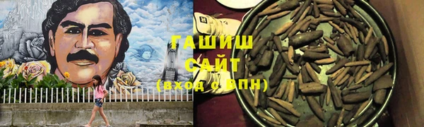 молекула духа Медвежьегорск