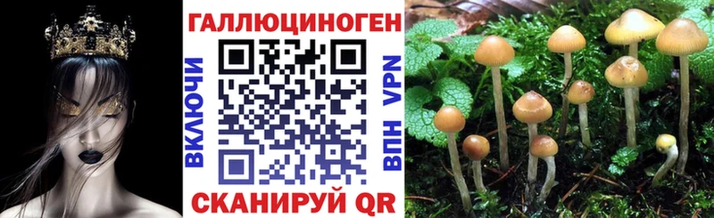 ссылка на мегу ONION  Мамадыш  Псилоцибиновые грибы GOLDEN TEACHER 